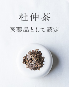 杜仲茶：医薬品として認定