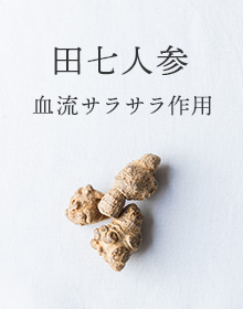 田七人参：血流サラサラ作用