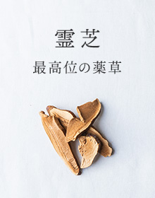 霊芝：最高位の薬草