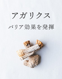 アガリクス：バリア効果を発揮