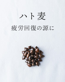 ハト麦：疲労回復の源に