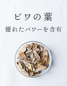 ビワの葉：優れたパワーを含有