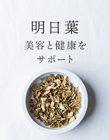 明日葉：美容と健康をサポート