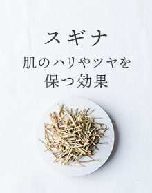 スギナ：肌のハリやツヤを保つ効果