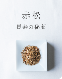 赤松：長寿の秘薬